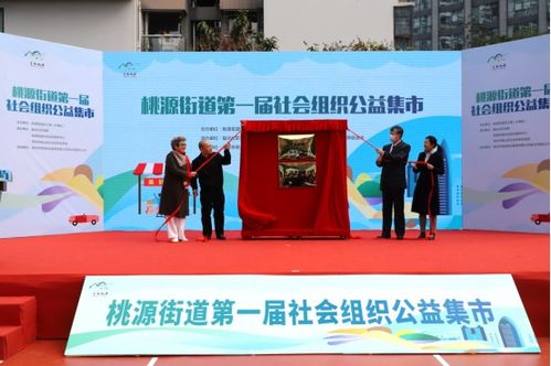 桃源街道首屆社會組織公益集市 文化藝術交流點亮社區活力