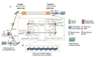 2016年中國重大科學(xué) 技術(shù)和工程進(jìn)展 技術(shù)篇
